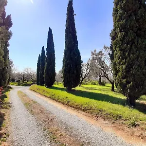 Il Palagio Casa vacanze