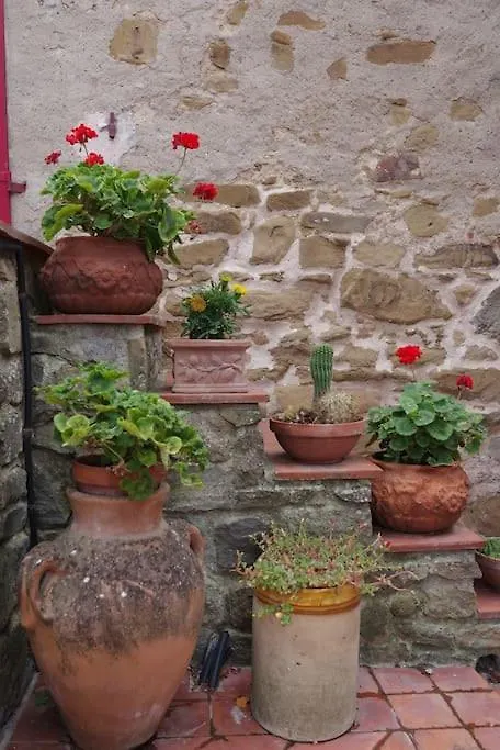 Villa Vestra In Vinci Holiday Home