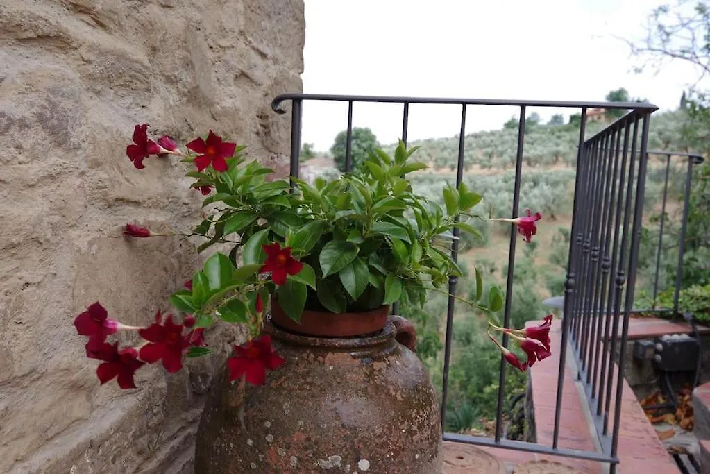 Villa Vestra In Vinci Holiday Home