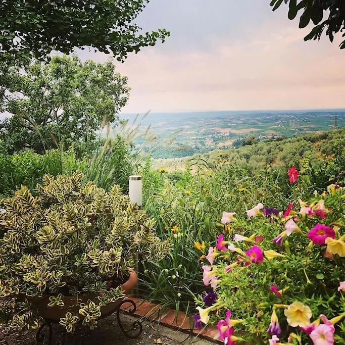 Villa Vestra In Vinci Holiday Home