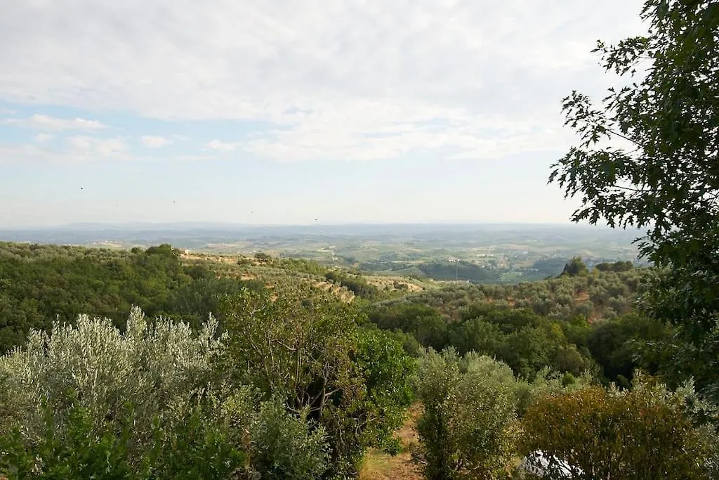Villa Vestra In Vinci Holiday Home